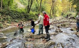 Büyükşehir’den dere ve tatlı sulara balık